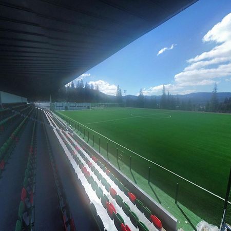 Vila Sport Борсек Экстерьер фото